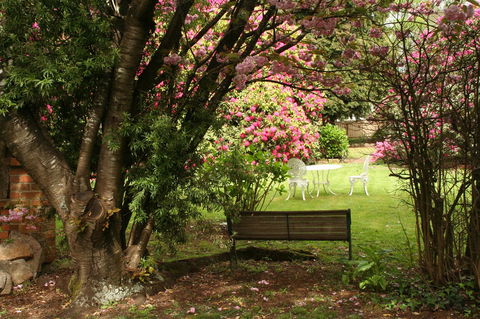 Anabel\'s Of Scottsdale - Hotel VIC 34