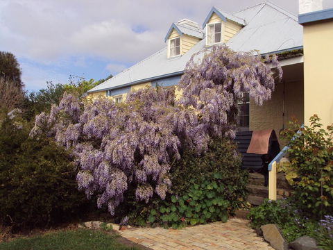 Orford's Sanda House B&B - Hotel VIC 40