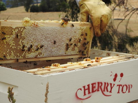 Cherry Top Farmstay - Boutique Eco Village - Hotel VIC 28