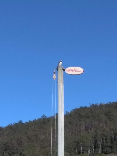 Cherry Top Farmstay - Boutique Eco Village - Hotel VIC 21