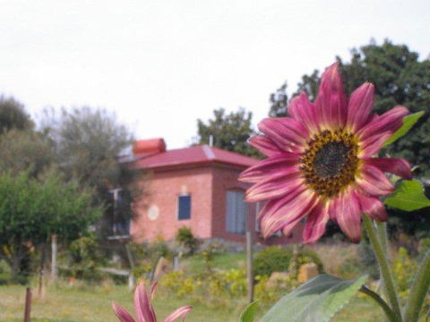 Cherry Top Farmstay - Boutique Eco Village - Hotel VIC 27
