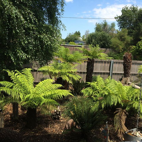 Pinestumps Holiday Home - Hotel VIC 14