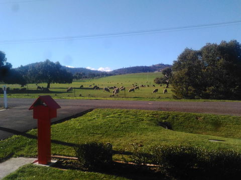 Pinestumps Holiday Home - Hotel VIC 11