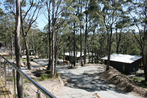 Craggy Peaks Wilderness Cabins - Hotel VIC 22