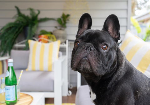 Palm Beach Cottage - Hotel VIC 2