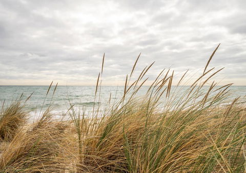 Palm Beach Cottage - Hotel VIC 1