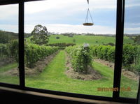 Book Murroon Accommodation Vacations Hotel VIC Hotel VIC
