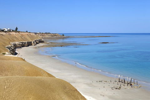 Saltaire Cottages - Hotel VIC 1