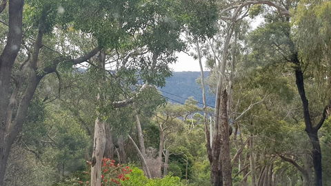 Six Seasons - Halls Gap - Hotel VIC 3