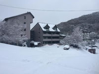 Book Falls Creek Accommodation Vacations Hotel VIC Hotel VIC