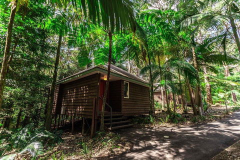 Songbirds Rainforest Retreat - Hotel VIC 2