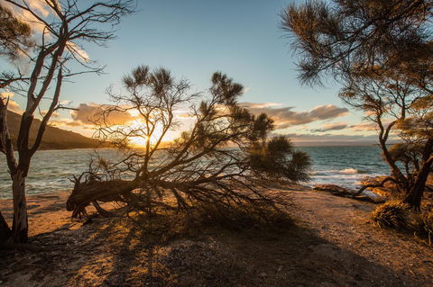 Freycinet Lodge - Hotel VIC 44