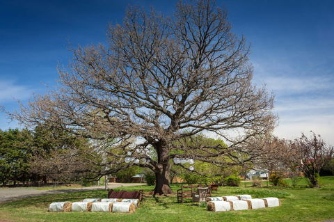 Ratho Farm - Hotel VIC 8