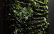 Moss Hotel - thumb 2