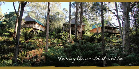 Lemonthyme Wilderness Retreat - Hotel VIC 20