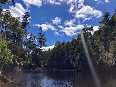 Lemonthyme Wilderness Retreat - Hotel VIC 7