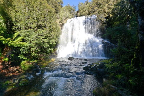 Lemonthyme Wilderness Retreat - Hotel VIC 19