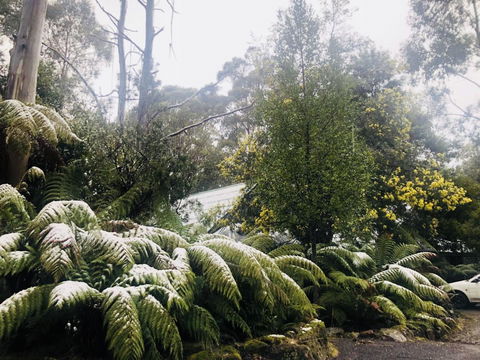 Lemonthyme Wilderness Retreat - Hotel VIC 16