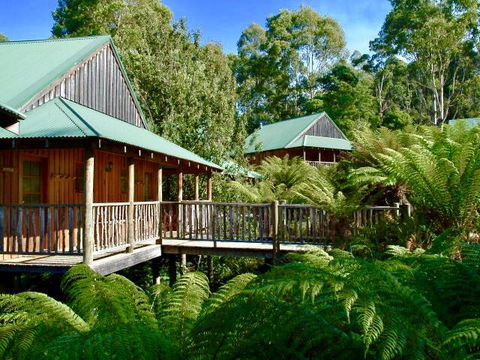 Lemonthyme Wilderness Retreat - Hotel VIC 11