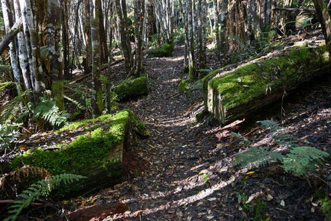 Lemonthyme Wilderness Retreat - Hotel VIC 22