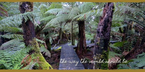 Lemonthyme Wilderness Retreat - Hotel VIC 17