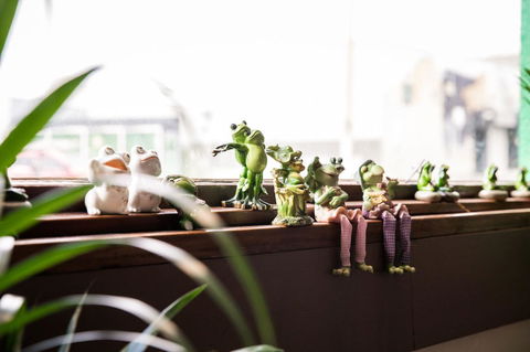 The Pickled Frog - Hotel VIC 12