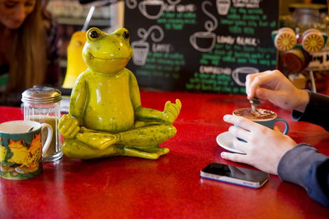 The Pickled Frog - Hotel VIC 30