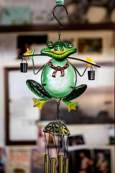 The Pickled Frog - Hotel VIC 35