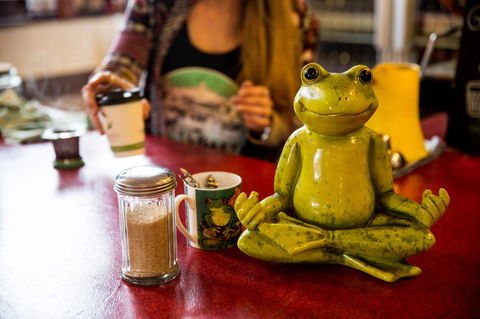 The Pickled Frog - Hotel VIC 32