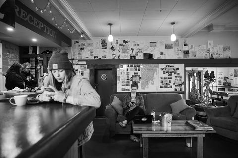 The Pickled Frog - Hotel VIC 25