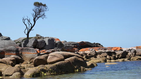BAY OF FIRES SEACHANGE Ocean Frontage - Hotel VIC 21