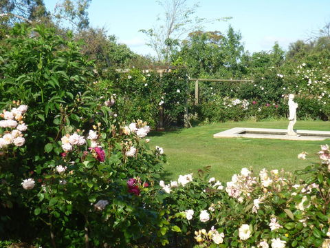 Wagners Cottages - Hotel VIC 6