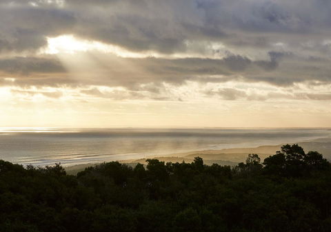 RACV Cape Schanck Resort - Hotel VIC 6