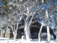 Book Dinner Plain Accommodation Vacations Hotel VIC Hotel VIC