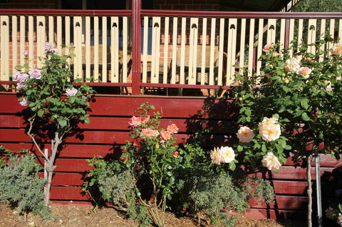 Oxford Rise Apartment - Hotel VIC 21