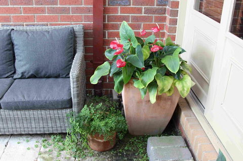 Oxford Rise Apartment - Hotel VIC 16