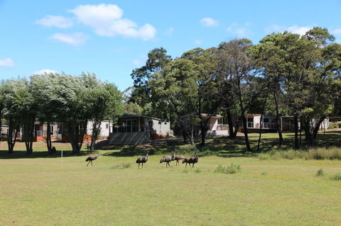 Halls Gap Lakeside Tourist Park - Hotel VIC 1