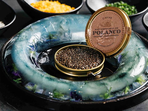 Sofitel Melbourne On Collins - Hotel VIC 41