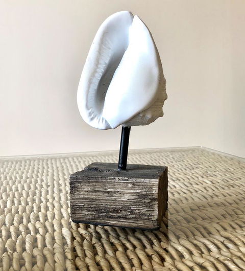 Sea Shells On Banyan Apartment - Hotel VIC 9