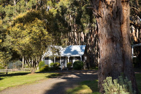 Bodhi Daylesford - Hotel VIC 8