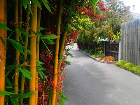 Azen Haven - Hotel VIC 14
