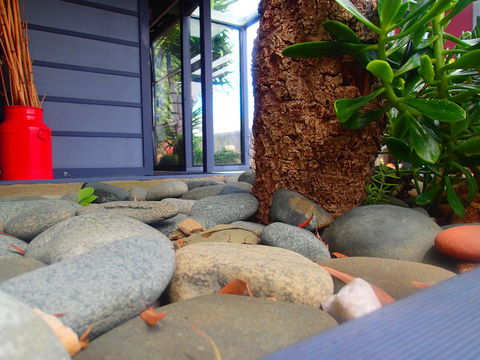Azen Haven - Hotel VIC 11