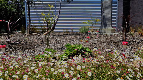 The Olive Tree Motel - Hotel VIC 16