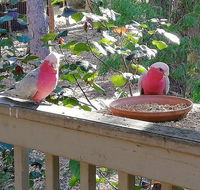 The Treehouse In Dawesville