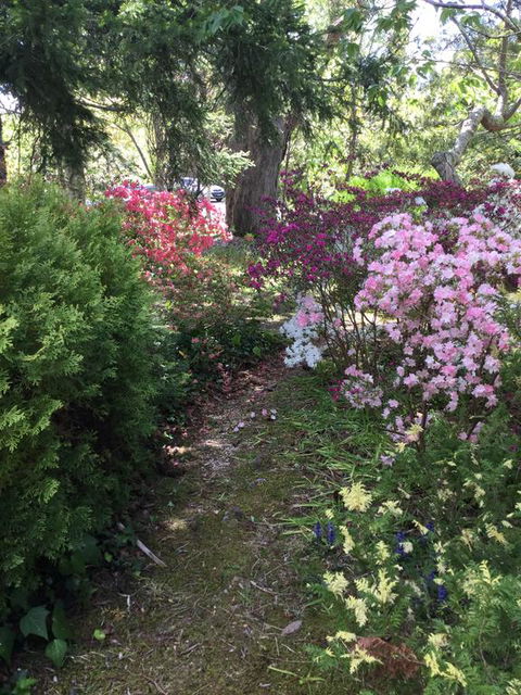 The Wentworth Retreat - Hotel VIC 3