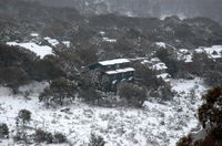 Book Thredbo Accommodation Vacations Hotel VIC Hotel VIC