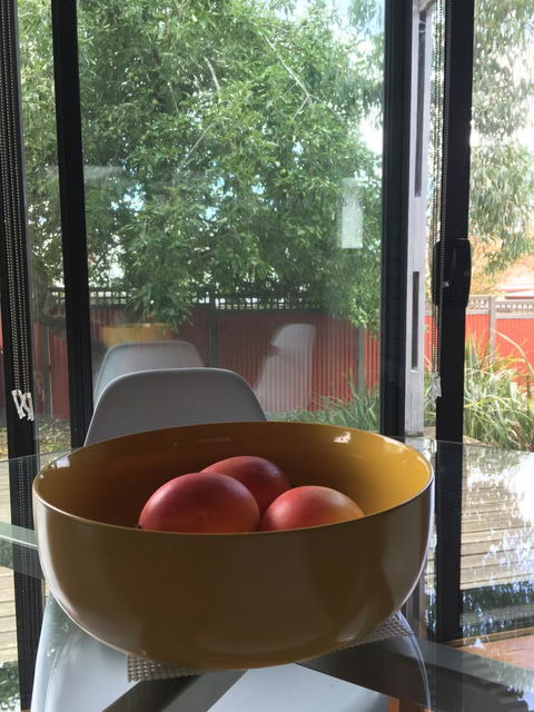 Daydream Cottage - Hotel VIC 19