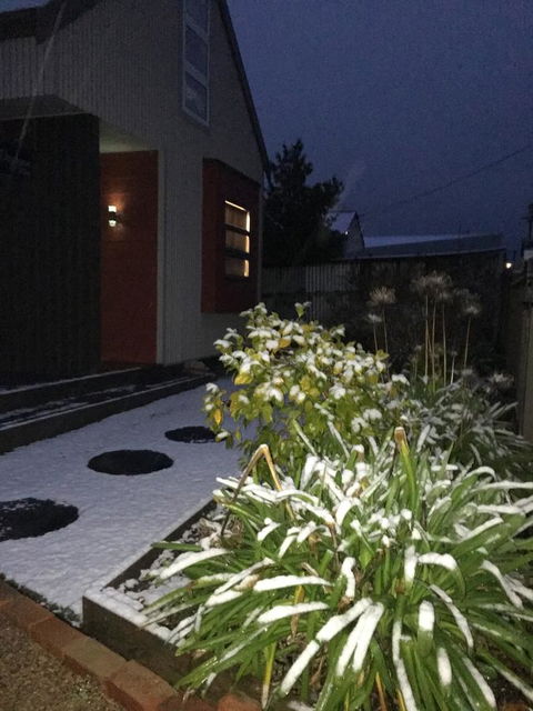 Daydream Cottage - Hotel VIC 17