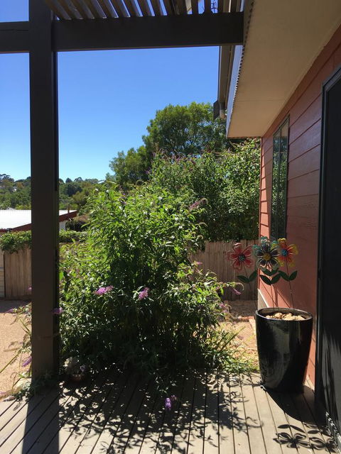 Daydream Cottage - Hotel VIC 10