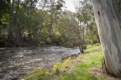 Oscar\'s On The Yarra - Hotel VIC 23